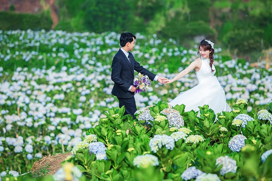 bröllop, par, fält, blommor, man, kvinna, brud, brudgum, relation, romantisk, romantik