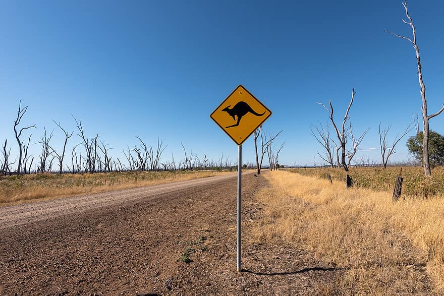ķengurs zīme, ceļš, sausa, raksturs, deserts, ķengurs, Austrālija, netīrumi, outback, lauku