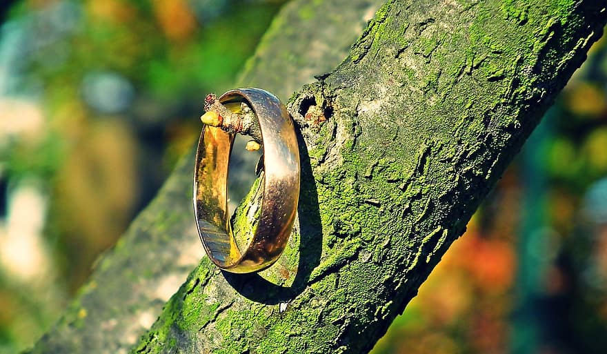 anillo, oro, amor, composición, Boda, recién casados