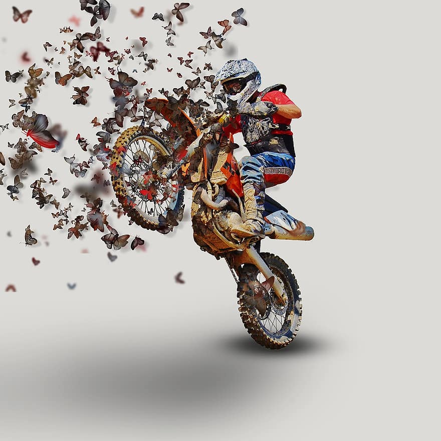 MotoCross, मोटरसाइकिल, रेस, खेल, सवार, मुकाबला, वाहन, तितलियों, खतरनाक खेल, मोटरसाइकिल रेसिंग, खेल दौड़
