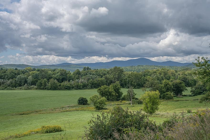 campo, colinas, arvores, montanhas, ao ar livre, cênico, natureza, Vermont