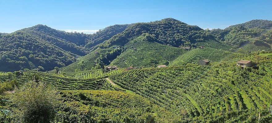 vineyards, hills, valdobbiadene