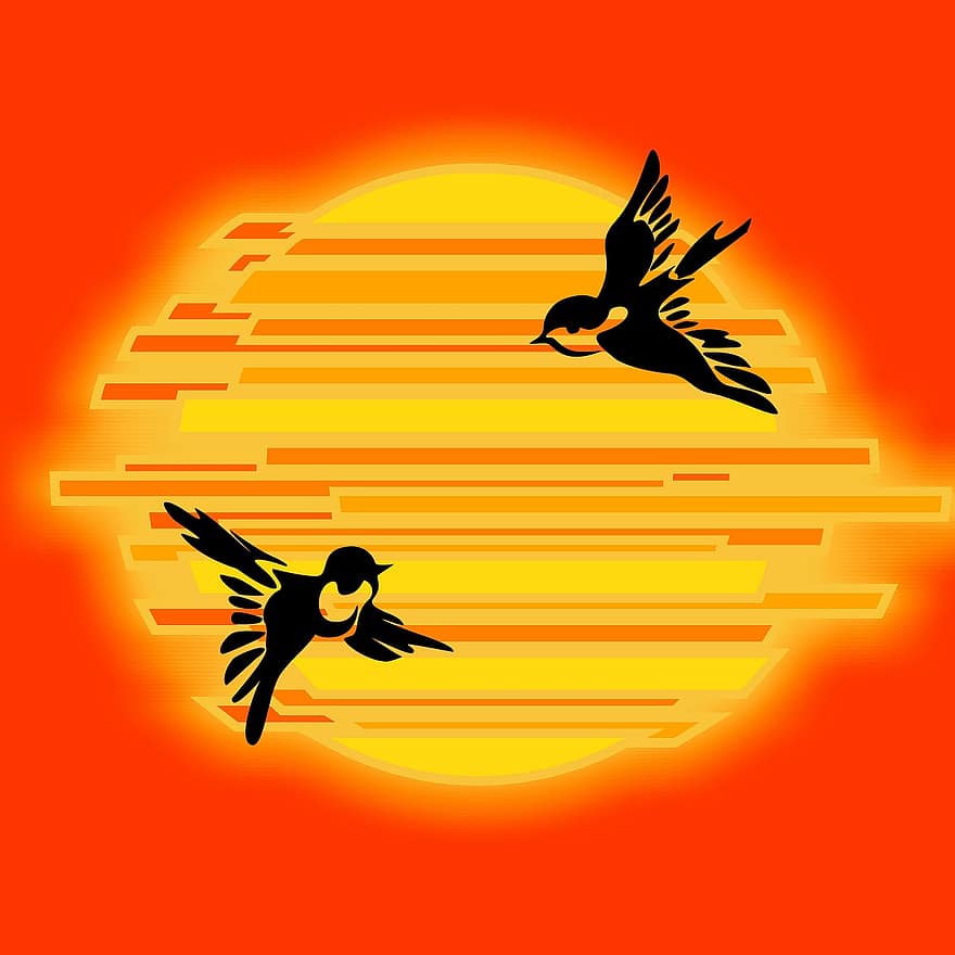 Sun, Sunset, Birds, Fragment, Background Image, Orange, Yellow, Pattern, Abstract, Structure, Color