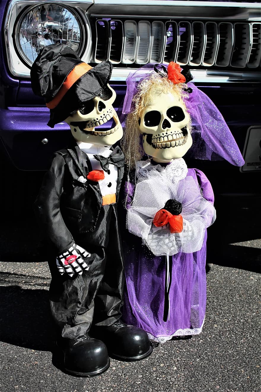 halloween, halloween dekor, skelett, goth, gotiska, läskigt, skalle, dagen för de döda, besatt, Halloween-fest, Halloween kostym