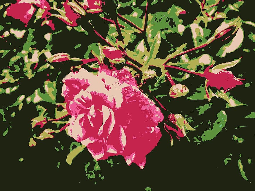 Rose, rose sauvage, fleur, buisson, rose, Floraison, des roses, la nature, fleur de rose, fragrance, plante