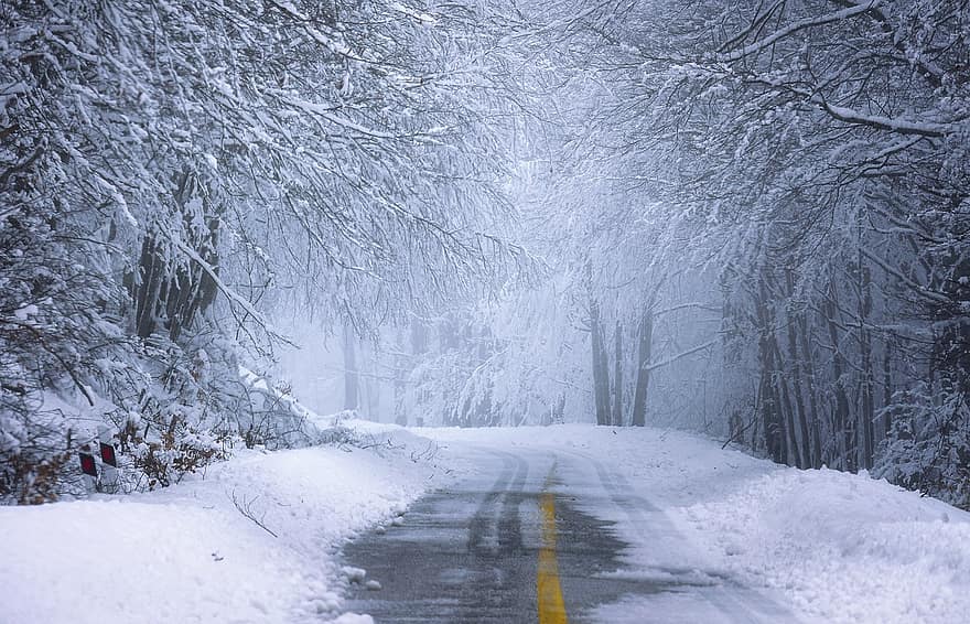 silnice, les, sníh, zimní, svítání, Studený, zamrzlý, mráz, led, mlha, stromy
