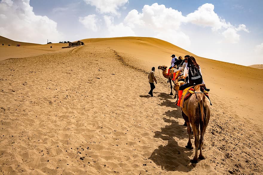 desert, camells, passeig, Camarelers, passeig en camell, muntar a cavall, sorra, dunes de sorra, turistes, dunhuang, turisme