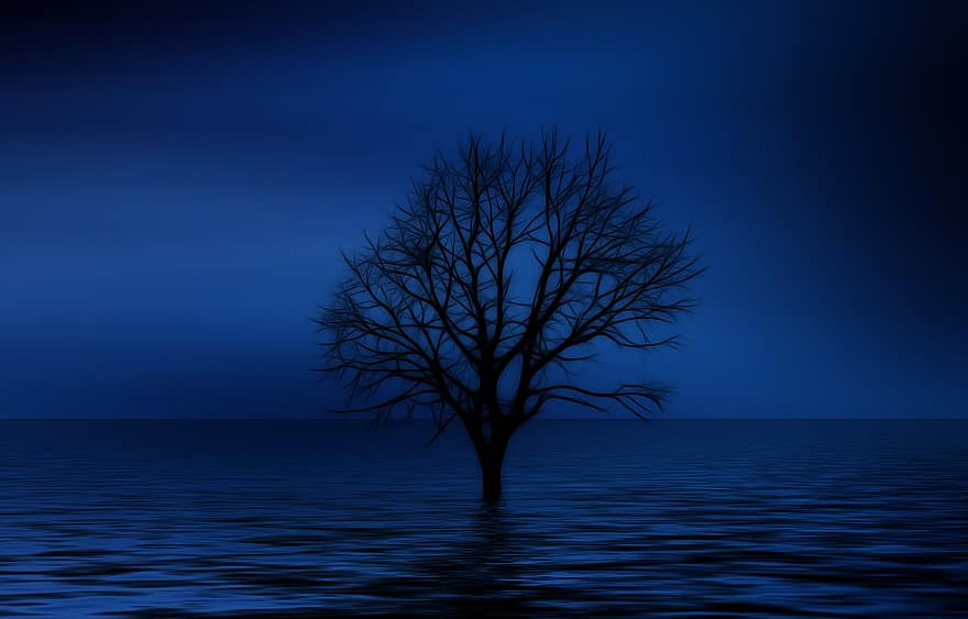 träd, kahl, psykologi, ensamhet, isolering, sorg, dröm, fantasi, ledsen, sjö, hav