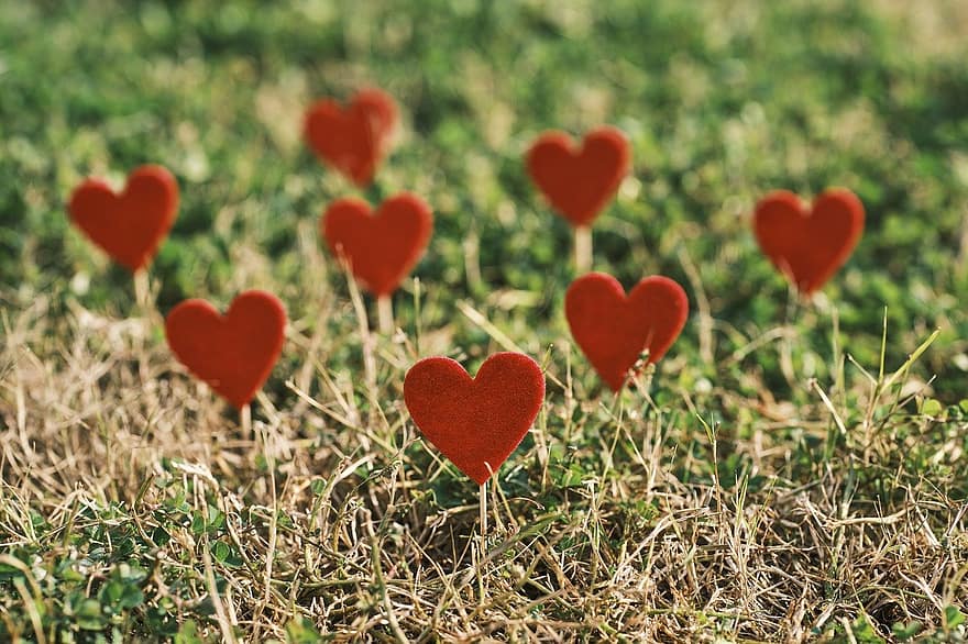 corazón, amor, día de San Valentín, celebracion, felicidad, febrero, Pareja, romántico, romance, presente, aniversario