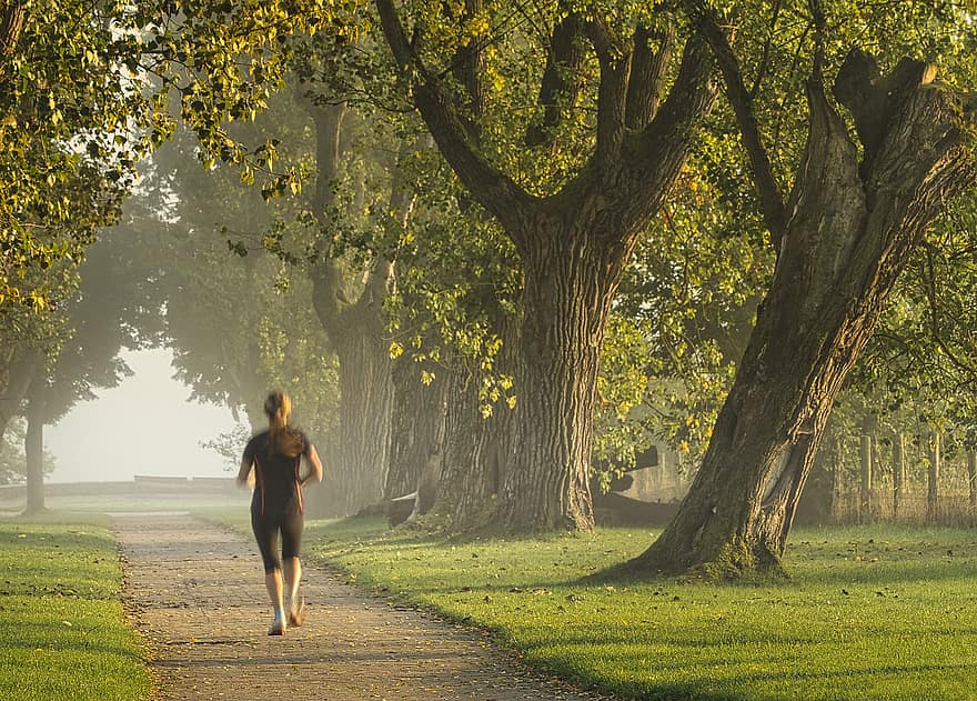 niebla, persona que practica jogging, parque, camino, arboles, otoño, ejercicio