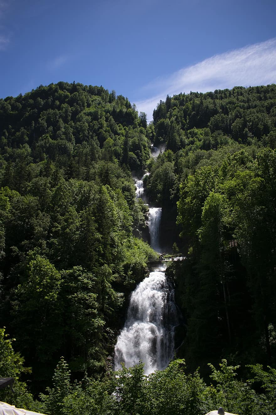 vattenfall, strömma, skog, träd, berg, alperna, natur, schweizisk