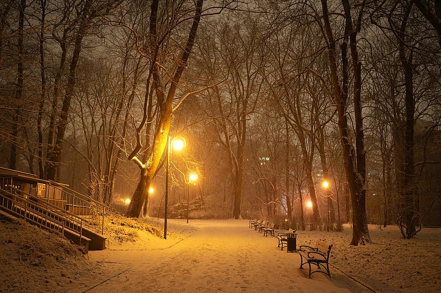 зима, парк, ночь, дерево, снег, время года, лес, смеркаться, фонарь, пейзаж, Погода
