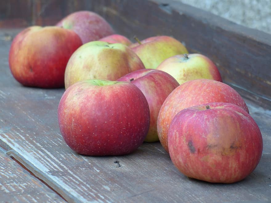 Fruta, manzanas, otoño, cosecha, sano