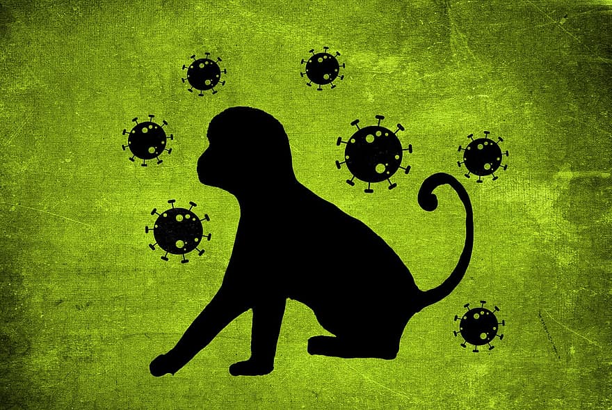 Маймунска шарка, инфекция, вирус, болест, маймуна, лого, икона, гръндж, илюстрация, силует, фонове