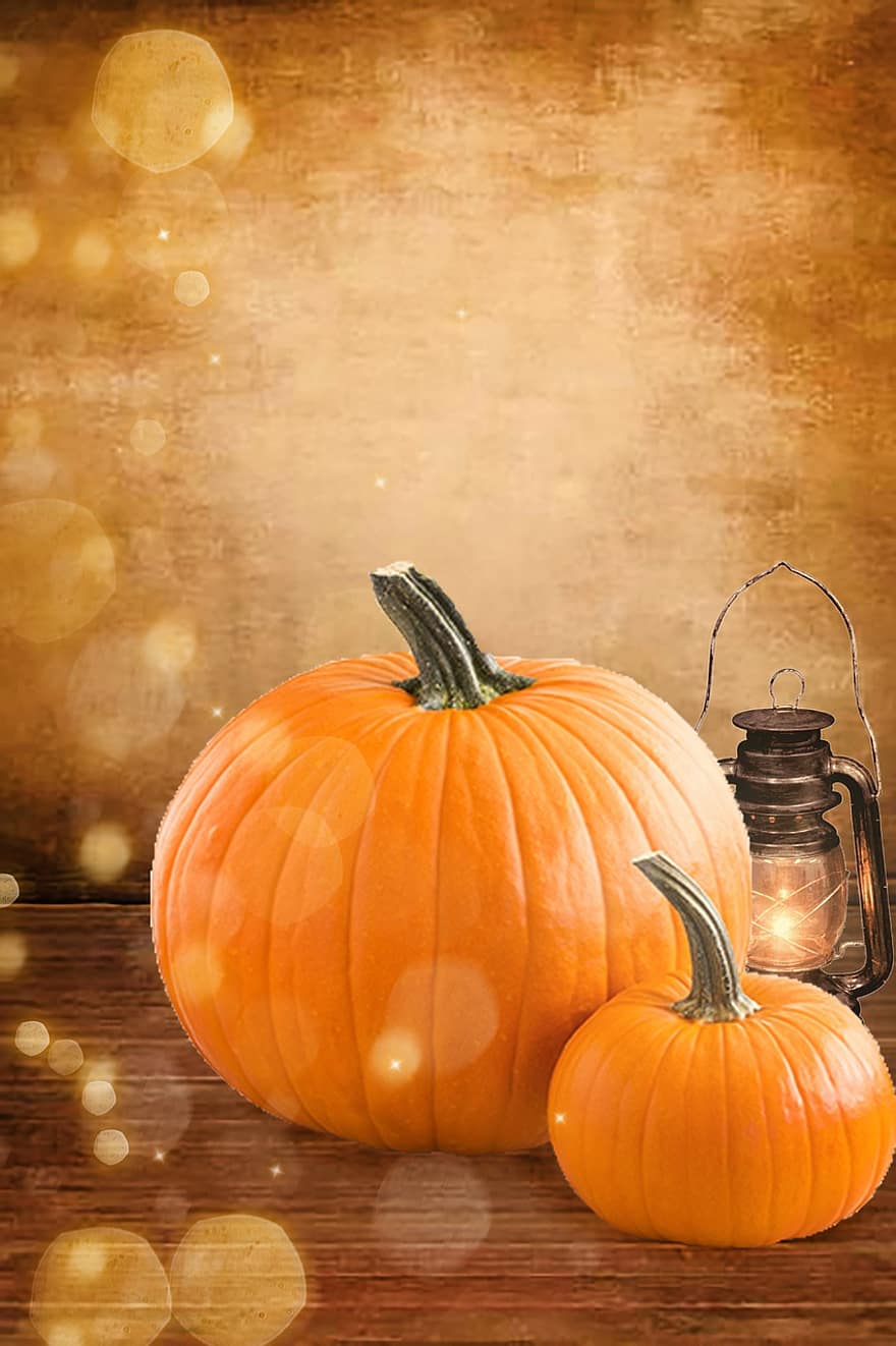 秋、かぼちゃ、自然、ボケ、静物、ハロウィン、10月、季節の、収穫、デコレーション、バックグラウンド