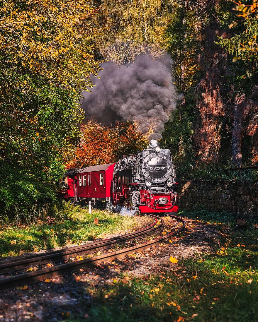 locomotiva a vapor, Ferrovia, arvores, outono, floresta, resina, ferrovia brocken