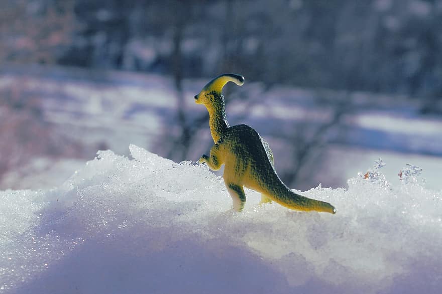 dinosaurus, lelu, lumi, jää, kylmä, talvi-, eläin, miniatyyri