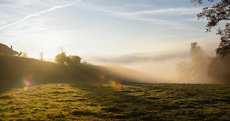 Hill, Sunrise, Fog, Field, Meadow, Pasture, Landscape, Nature, Countryside, Rural, Dawn