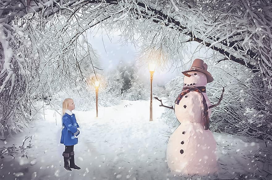 neu, hivern, país de les meravelles, blanc, temporada, Nadal, festa, nadal, nevades, a l'aire lliure, floc de neu