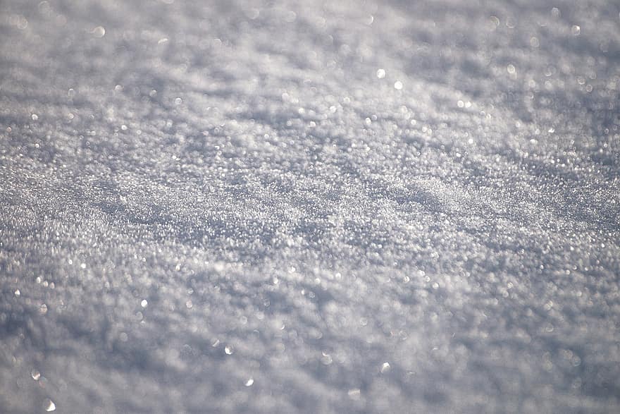 sne, tæt på, baggrund, jul, kold, hvid, snefald, is, vinter, frost, Frosset
