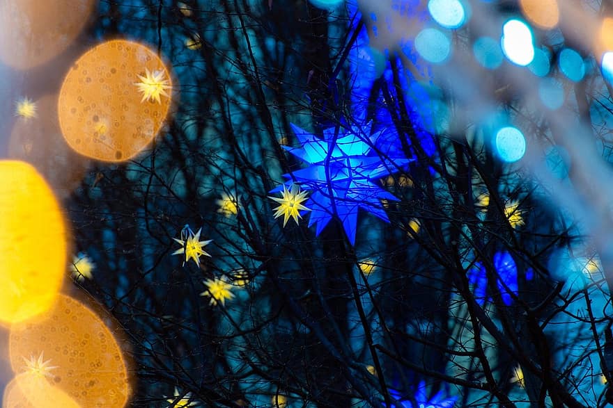 Karácsonyi fények, Karácsonyi dekoráció, karácsonyi háttér, karácsony, Karácsony, megérkezés, Lámpák, csillagok, háttérrel, éjszaka, levél növényen