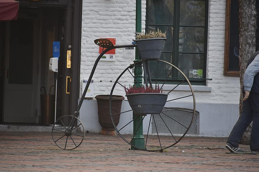 kjøretøy, sykkel, blomsterpotte, anlegg, blomst, tre, gammeldags, arkitektur, hagearbeid, vindu, grønn farge