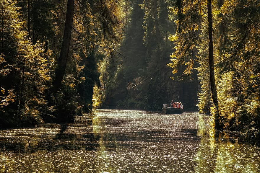 meer, Bos, boot, het zeilen, water, water reflectie, bomen, bossen, landschap, toneel-, platteland