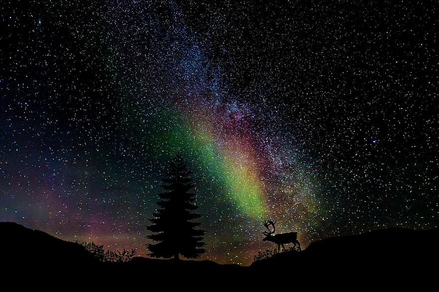 yıldızlı gökyüzü, gökada, star, Samanyolu, Evren, gece, gökyüzü, doğa, peyzaj, hirsch, hayvan
