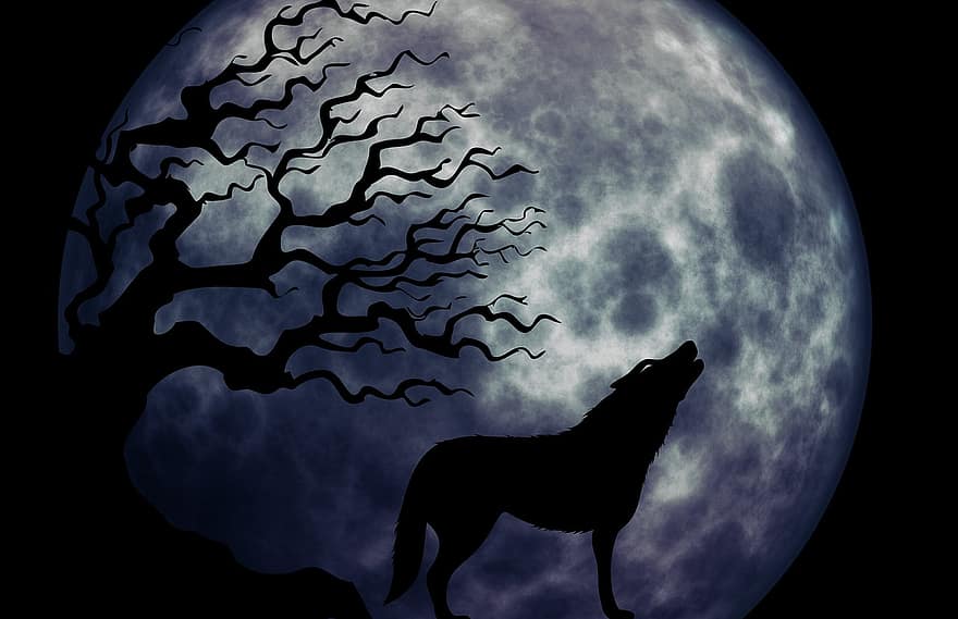 vlk, výt, měsíc, zvláštní, nadreálný, atmosféra, strašidelný