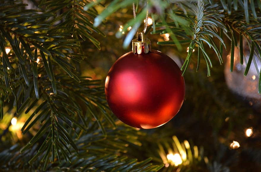 pohon Natal, dekorasi, ornamen, hari Natal, musim, perhiasan merah, bola natal merah, dekorasi pohon natal, motif natal, pohon cemara, dihiasi