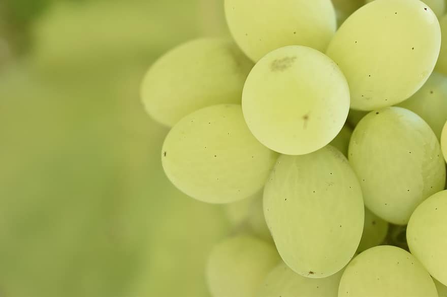 Grapes, Green Grapes, Fruits, Ripe, Sweet, Healthy, Food, Vineyard, Viticulture