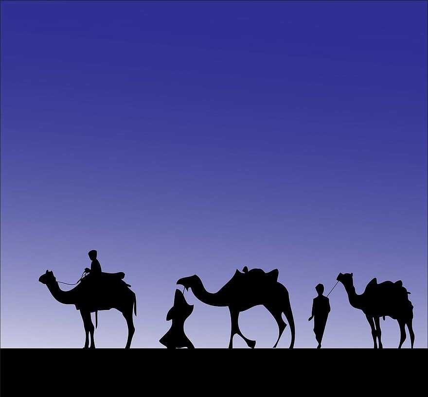 καμήλα, καμήλες, Σοφοί άνδρες, Τρεις σοφοί ανδρες, άνδρες, άνδρας, ζώο, των ζώων, τρένο καμήλας, πομπή, μαύρος