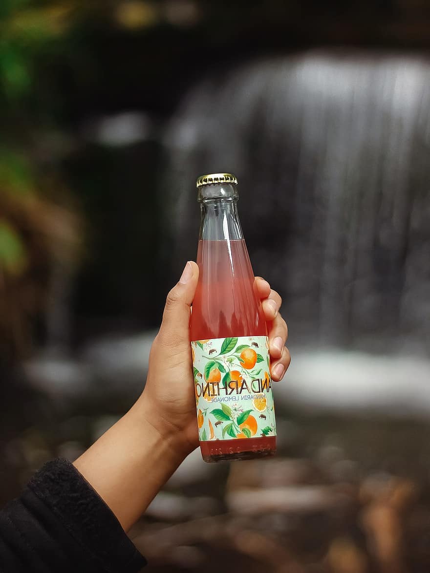 Getränk, Mandarin, Natur, Cocktail, Orange, Hand, Park, menschliche Hand, Flasche, Nahansicht, Frau