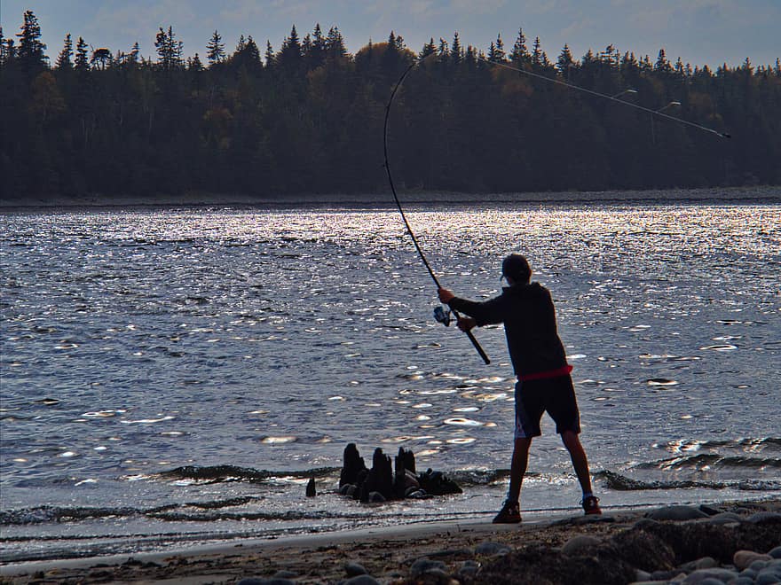 लड़का, मछली पकड़ने, व्यक्ति, झील, बाहर, गतिविधि, छड़ी, रील, गर्मी, तालाब, नदी