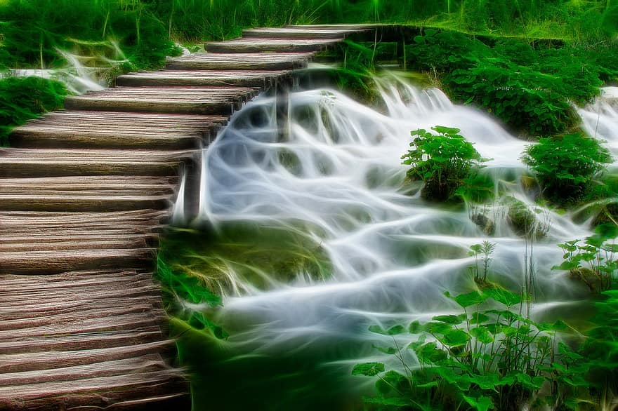 vesi, verkko, silta, puinen silta, puinen jalkakäytävä, luonto, levätä, kasvi, vesikasveja, ruoho, vihreä