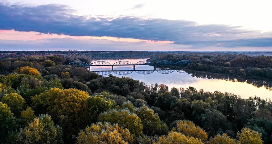 Trees, Forest, Bridge, River, Wisla, Vistula River, Infrastructure, Reflection, Mirroring, Mirror Image, Calm Waters