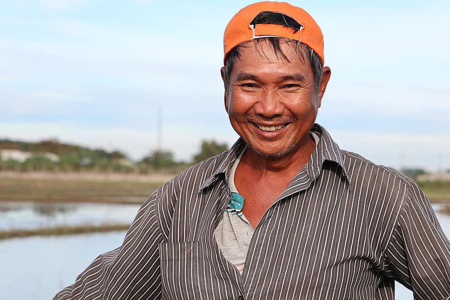 lauksaimnieks, jomā, smaids, laimīgs, smagi strādājošs, vjetnamiešu valodā, ūdens, siena laukums, ražu