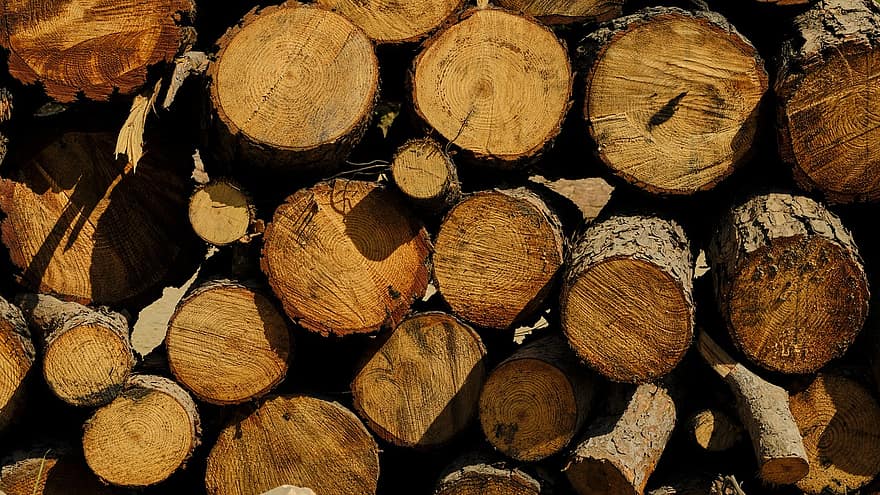 registres, pila de fusta, llenya, fusta, naturalesa, bosc, fons, troncs de pi, pila, registre, indústria de la fusta