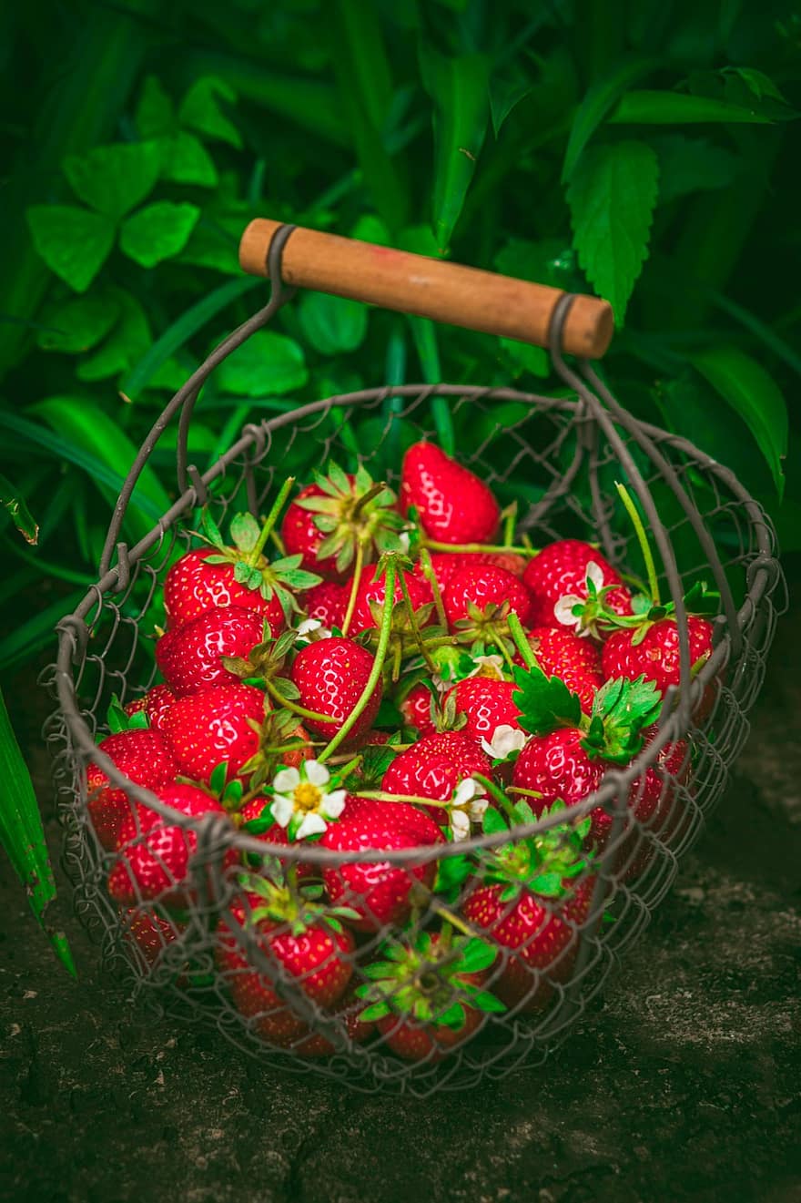 Strawberries, Basket, Fruit, Juicy, Organic, Colourful, Green, Funny, Gorgeous, Red, Nice