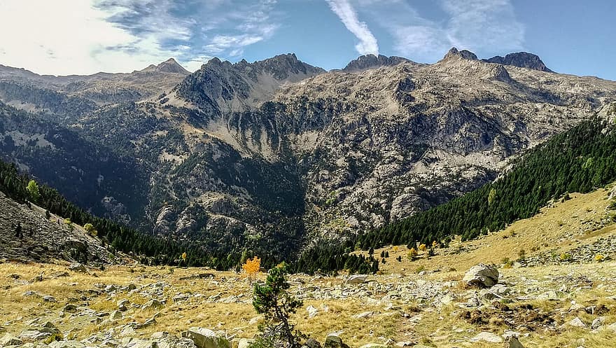 Příroda, cestovat, průzkum, venku, Pyreneje, buk, údolí