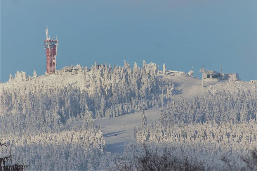 планина, дървета, гора, сняг, по-ниска саксония, Германия, Браунлаге