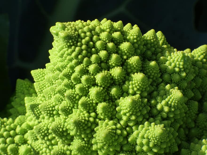 brócoli, espiral, fractal, formas, fondo