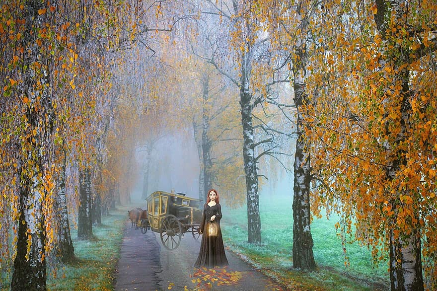 đàn bà, cây, con đường, sương mù, mùa thu, mù sương, lá, cổ điển, bàn, nghệ thuật, đồ cổ