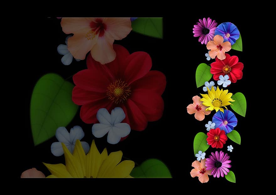 kukat, kollaasi, yhdistelmä, kesä, tyyli, kevät, kasvi, luonto, puun lehti, graafinen, kasvisto