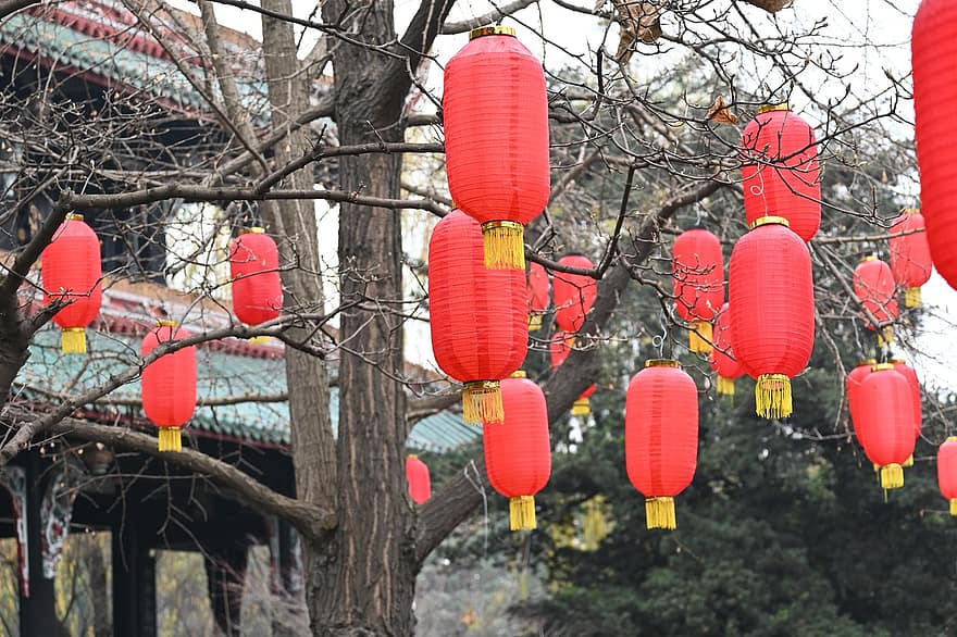 lanterne, Festival, décoration, art, des cultures, fête, culture chinoise, fête traditionnelle, lanterne chinoise, multi couleur, religion