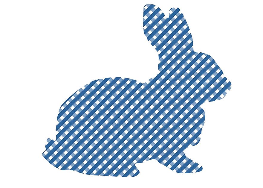 Pasqua, conill, conill de Pasqua, plaid, blau, nadó, primavera, bonic, animal, festa