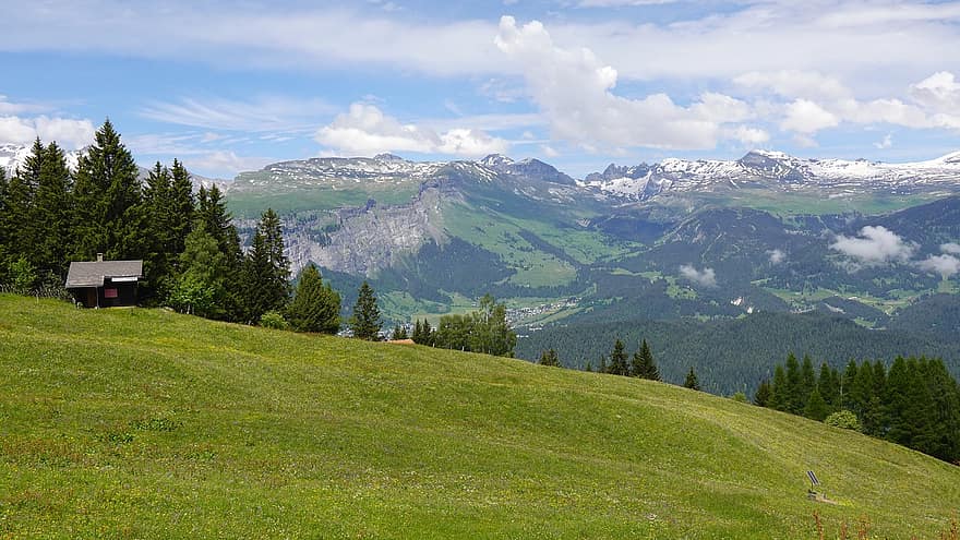 Horské zemědělství, horské panorama, Alpy, stodola, les, hora, tráva, louka, letní, krajina, zelená barva