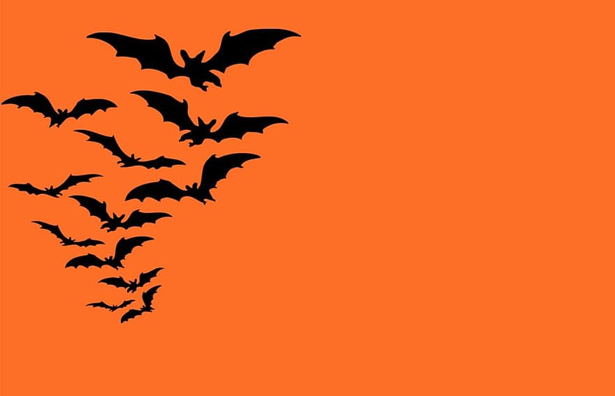 Helovinas, šikšnosparniai, šikšnosparnis, siaubas, oranžinė, fonas, baugus, baisu