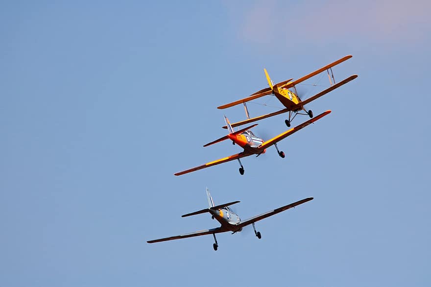 monoplan, flyguppvisning, flyg, Tiger Moth Biplan, jordekorre, fast vinge