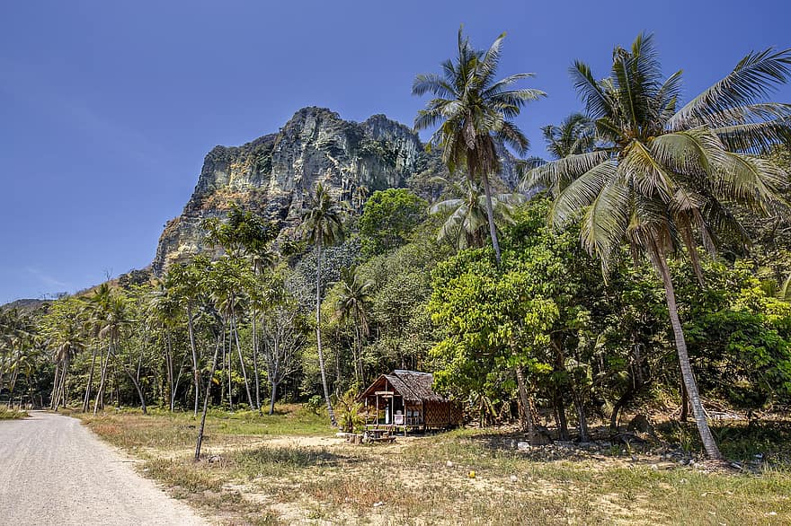 palmas, raksturs, kalns, krastā, koki, ainavu, tropu, salu, khao lak, Phuket, Taizeme